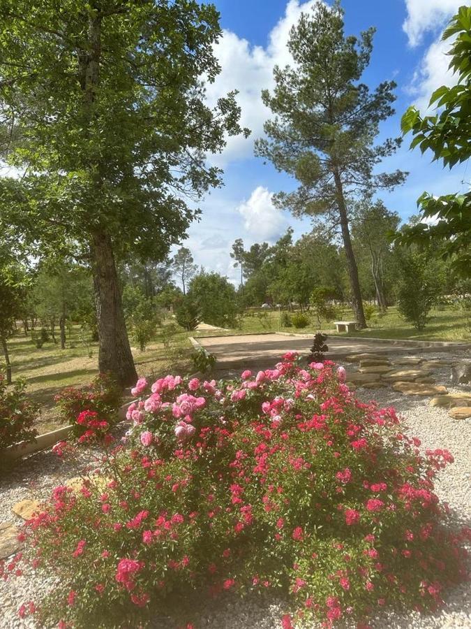 Superbe Villa Seillans La Grande Bastide Avec Piscine, Jardin, Climatisation Et Salle De Sport Luaran gambar