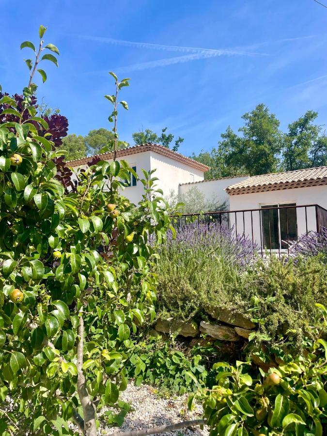 Superbe Villa Seillans La Grande Bastide Avec Piscine, Jardin, Climatisation Et Salle De Sport Luaran gambar