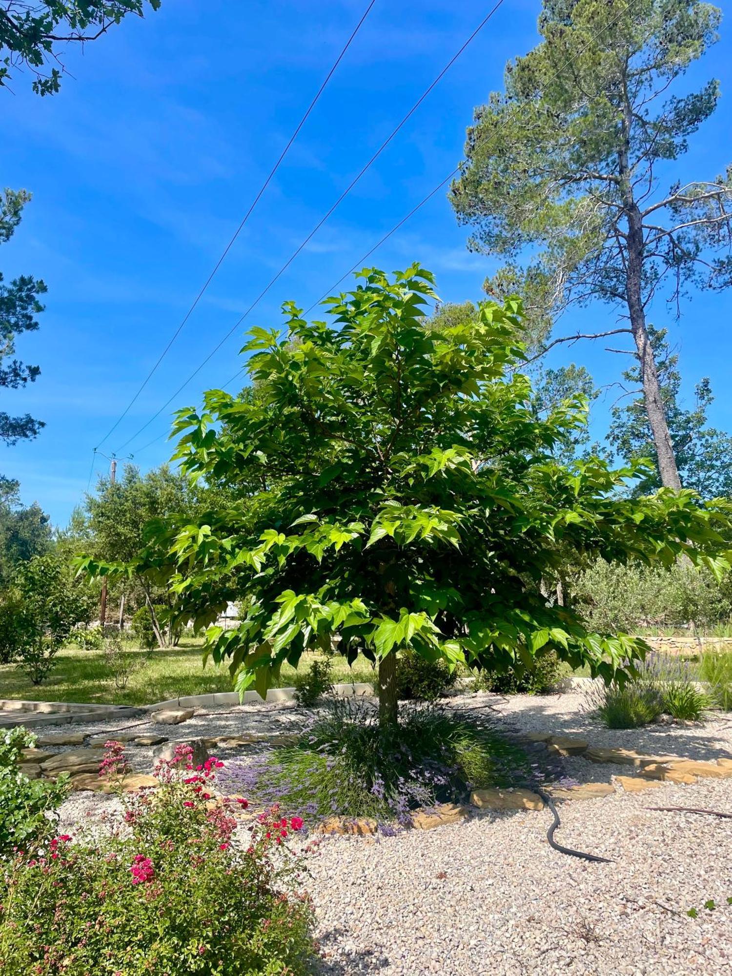 Superbe Villa Seillans La Grande Bastide Avec Piscine, Jardin, Climatisation Et Salle De Sport Luaran gambar