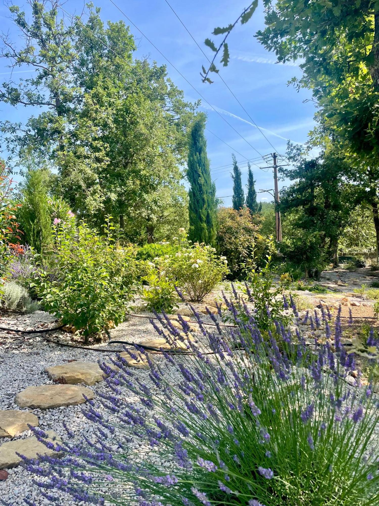 Superbe Villa Seillans La Grande Bastide Avec Piscine, Jardin, Climatisation Et Salle De Sport Luaran gambar
