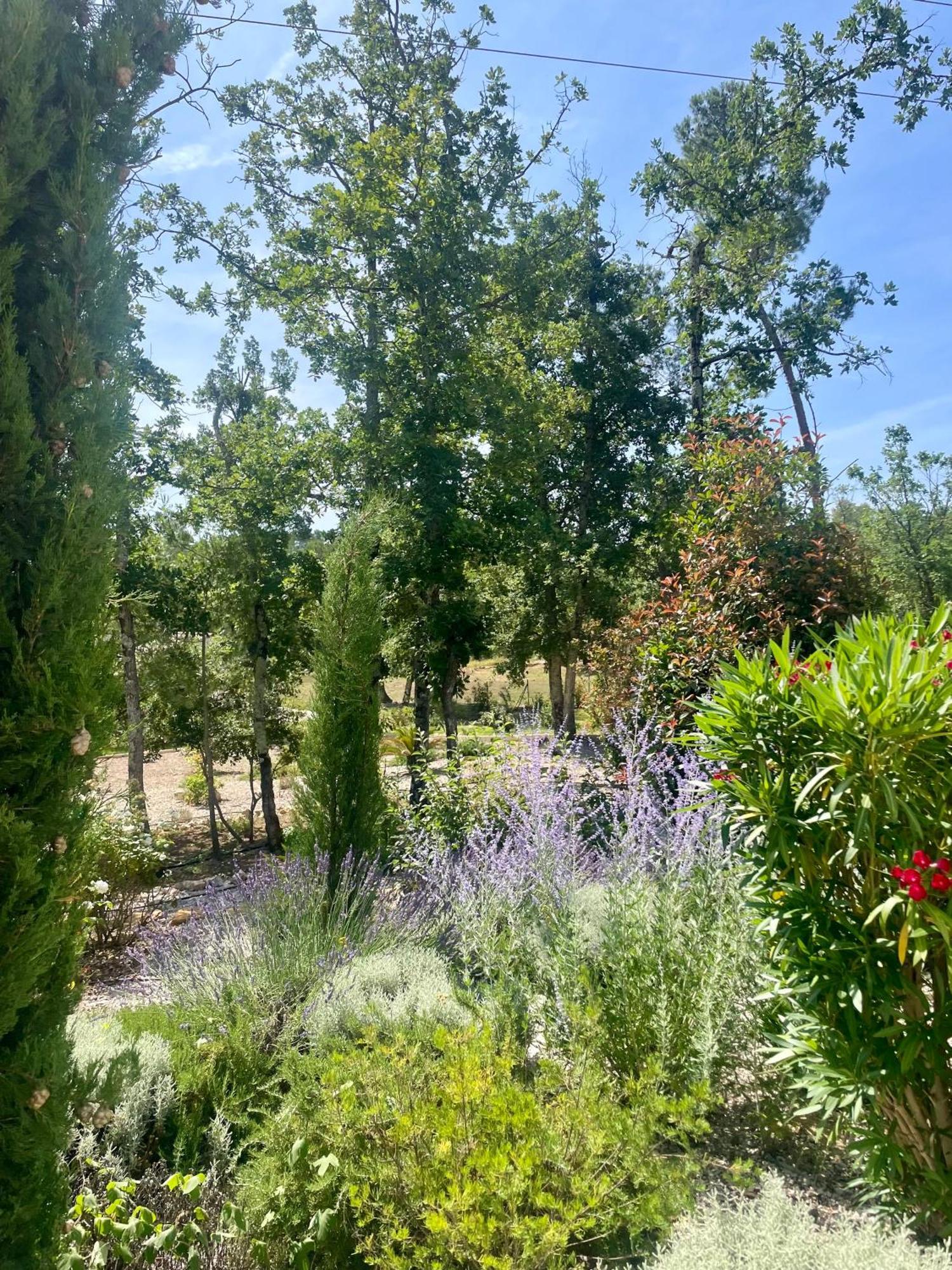 Superbe Villa Seillans La Grande Bastide Avec Piscine, Jardin, Climatisation Et Salle De Sport Luaran gambar