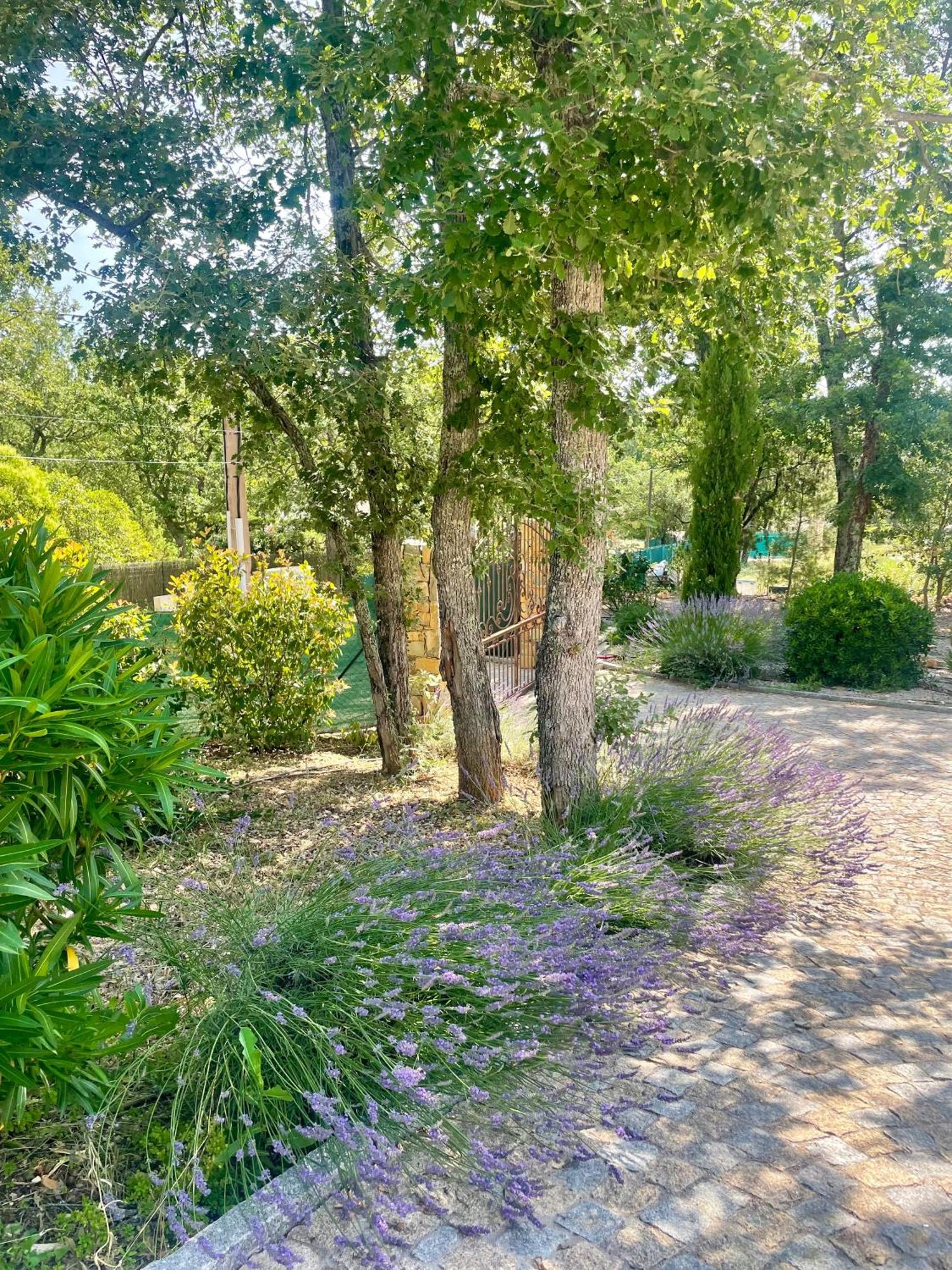 Superbe Villa Seillans La Grande Bastide Avec Piscine, Jardin, Climatisation Et Salle De Sport Luaran gambar
