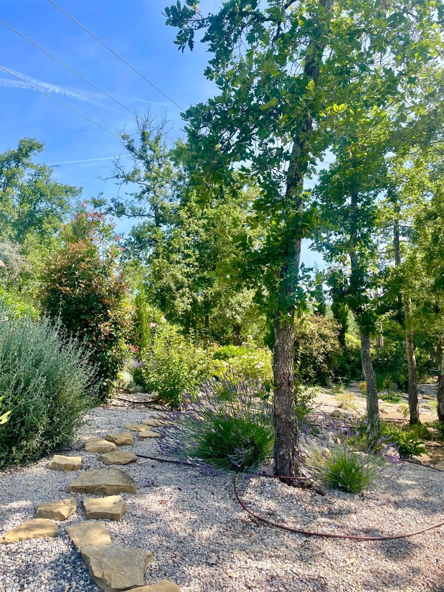 Superbe Villa Seillans La Grande Bastide Avec Piscine, Jardin, Climatisation Et Salle De Sport Luaran gambar